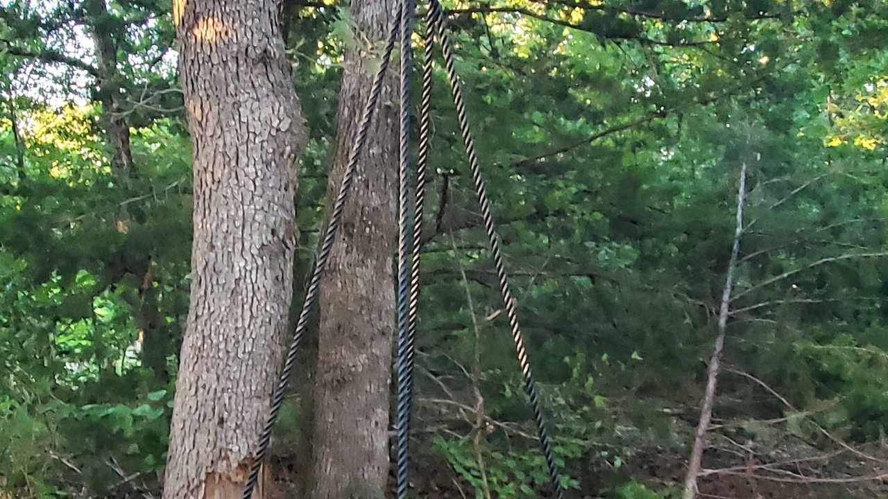 Photo of Others in Mead