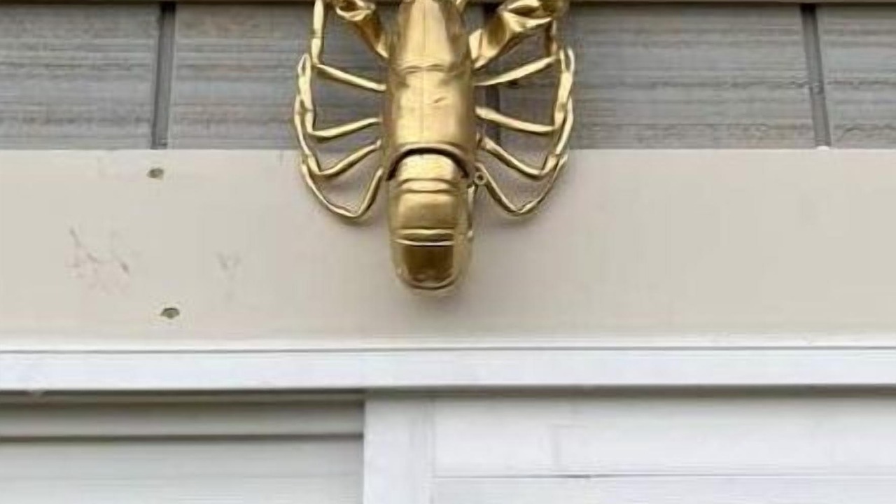 Photo of Outdoor in Winterport