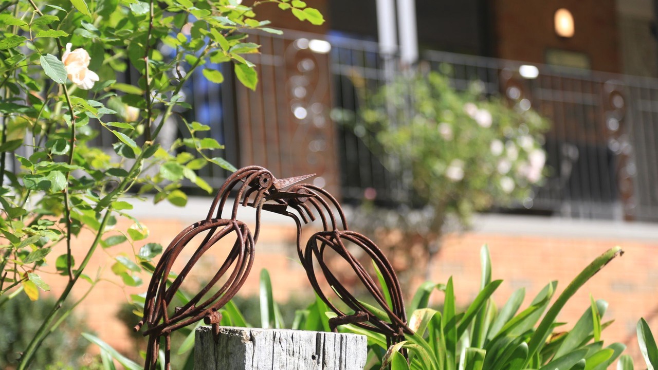 Photo of Outdoor in Bundanoon