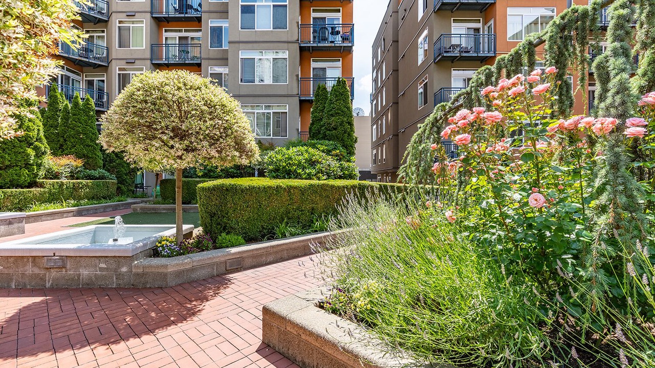 Photo of Outdoor in Belltown