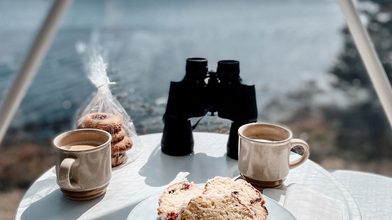 Photo of Others in Dublin Shore