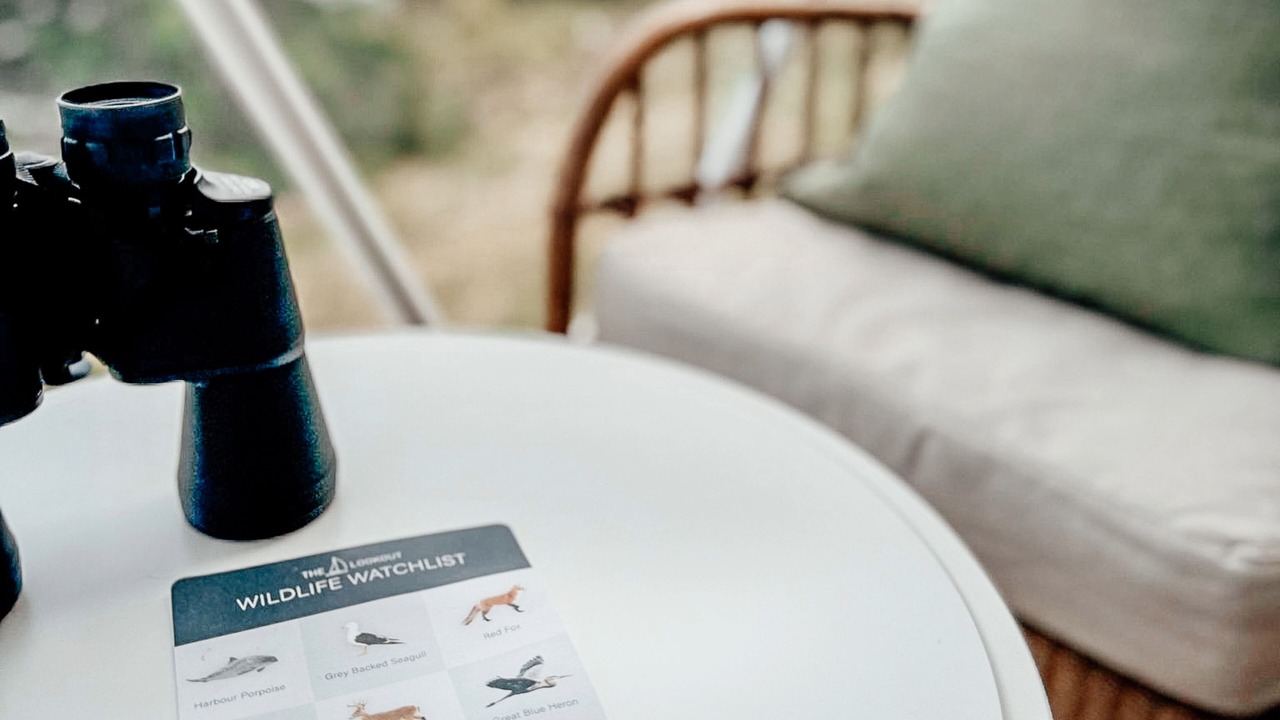 Photo of Others in Dublin Shore