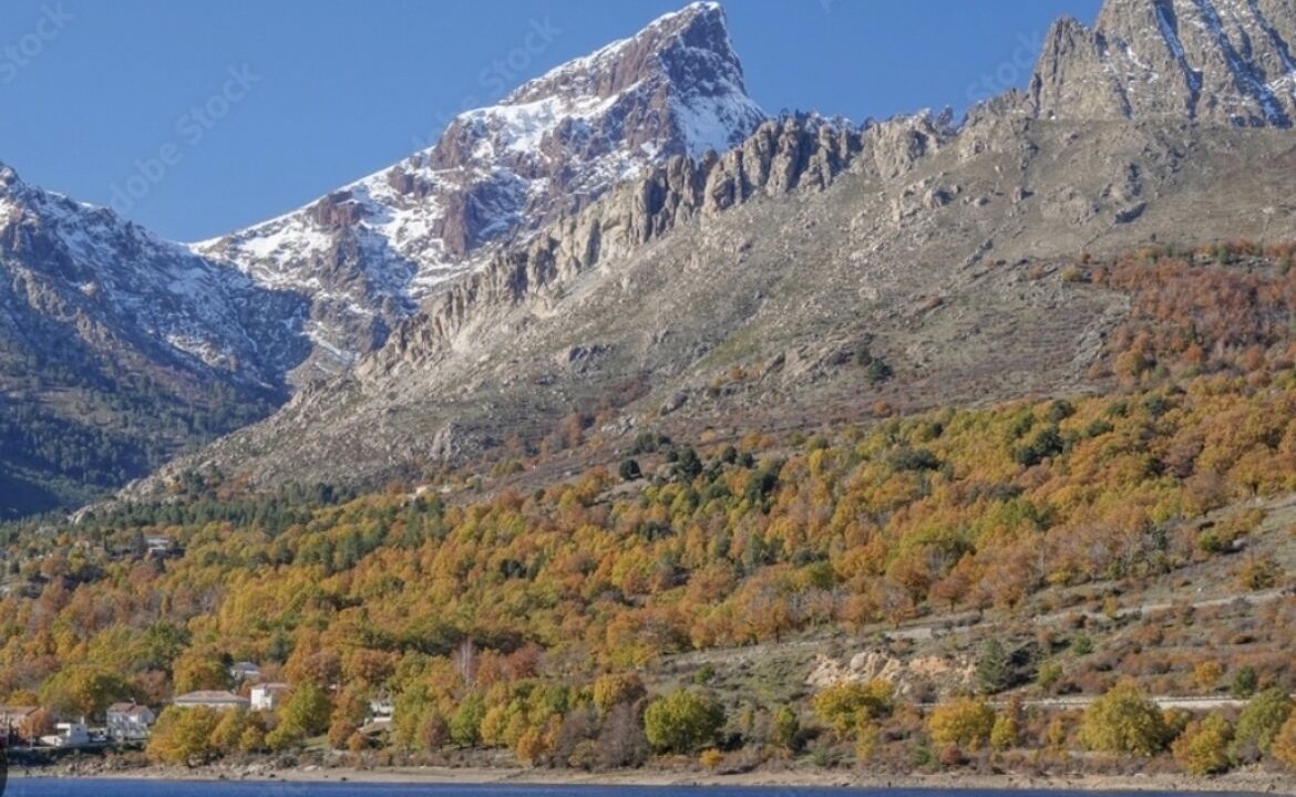 Photo of Others in Albertacce