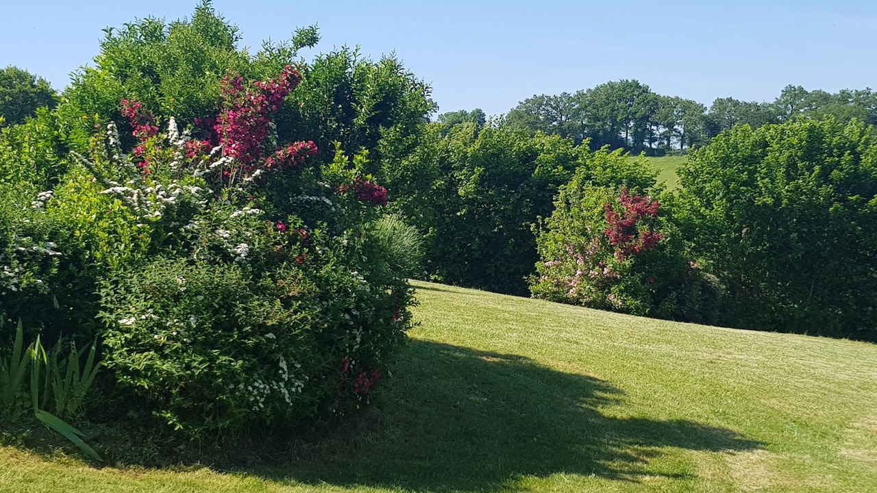 Photo of Outdoor in Tremouilles