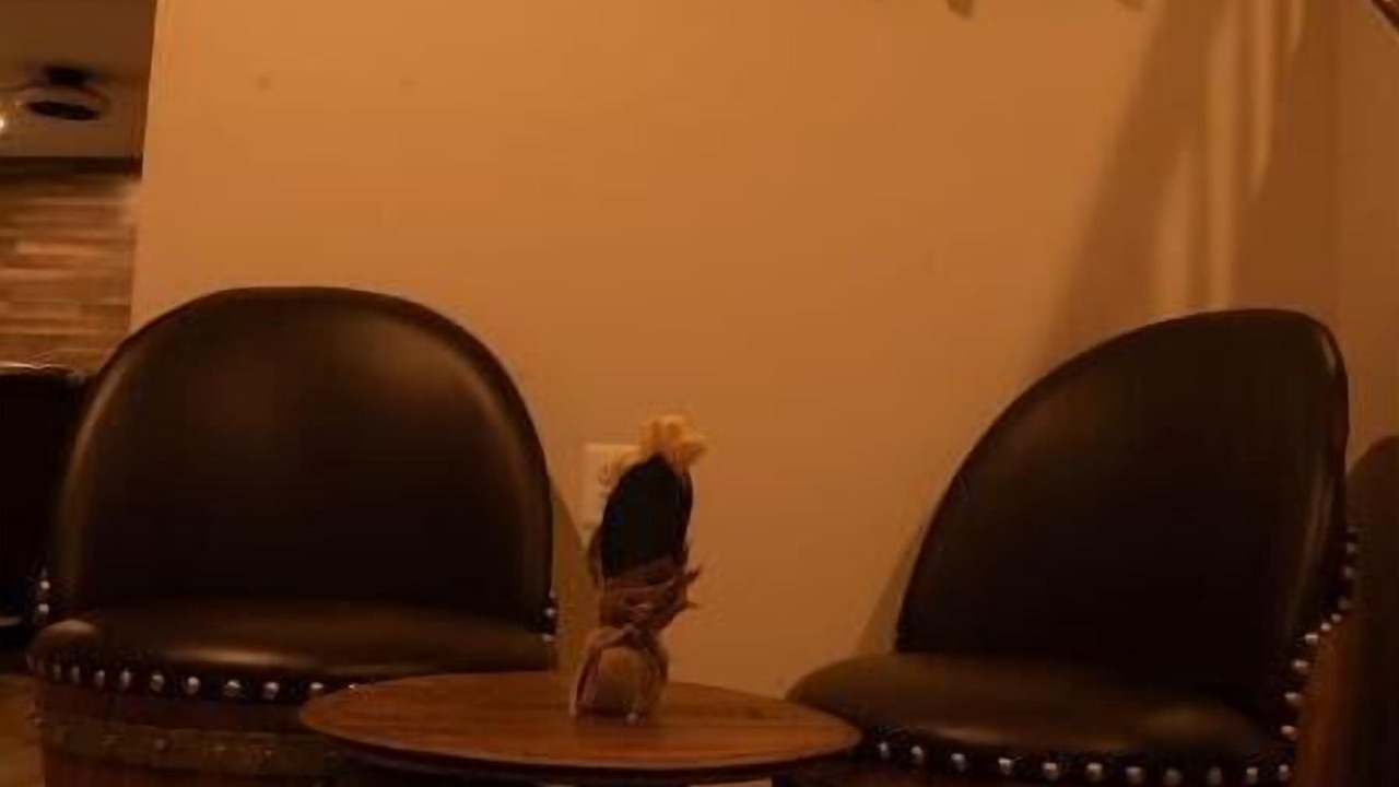 Photo of Others in Urbana