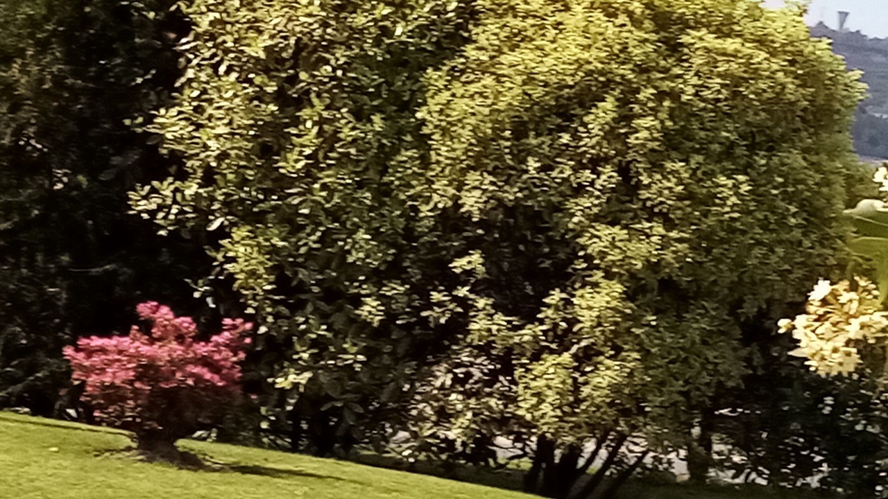 Photo of Outdoor in Tourlaville