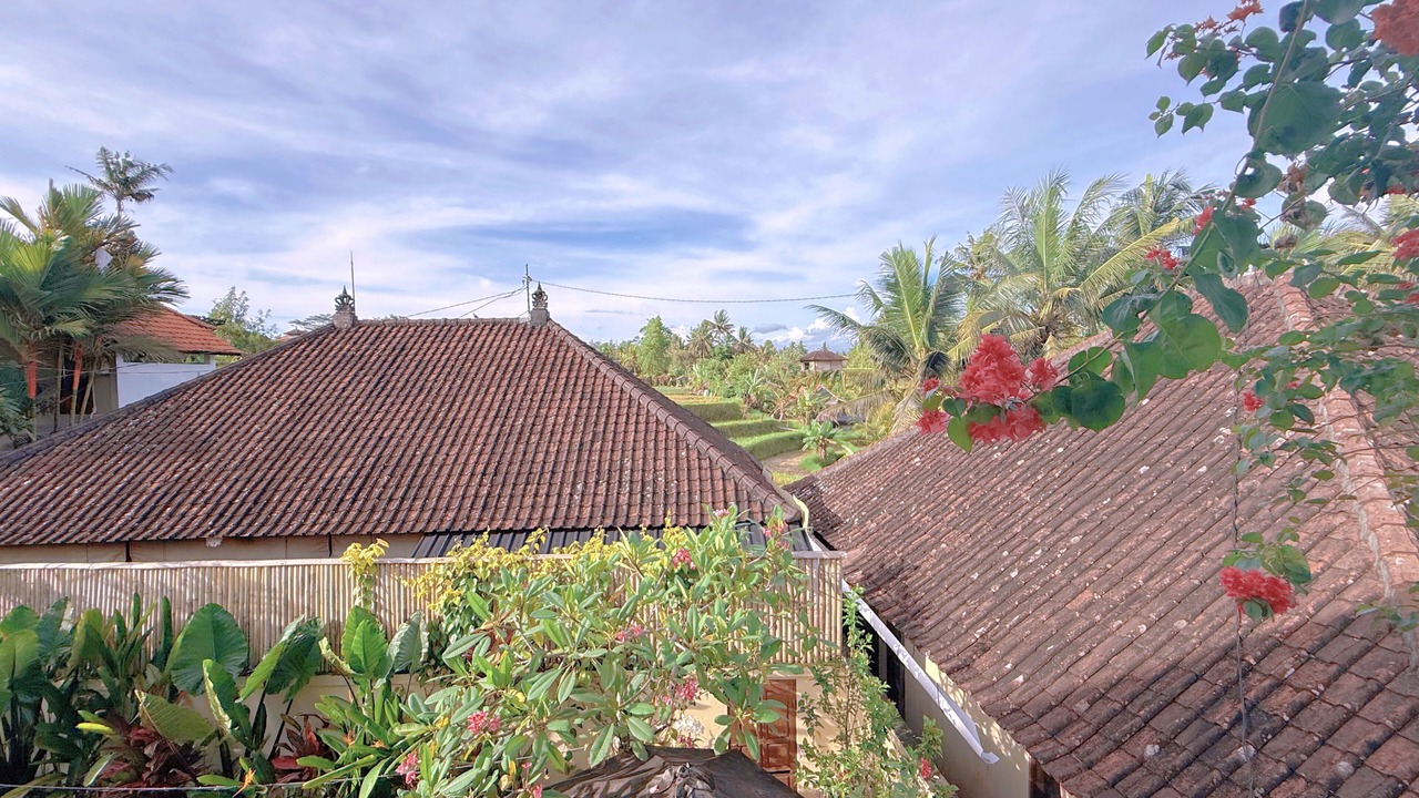 Photo of Outdoor in Ubud