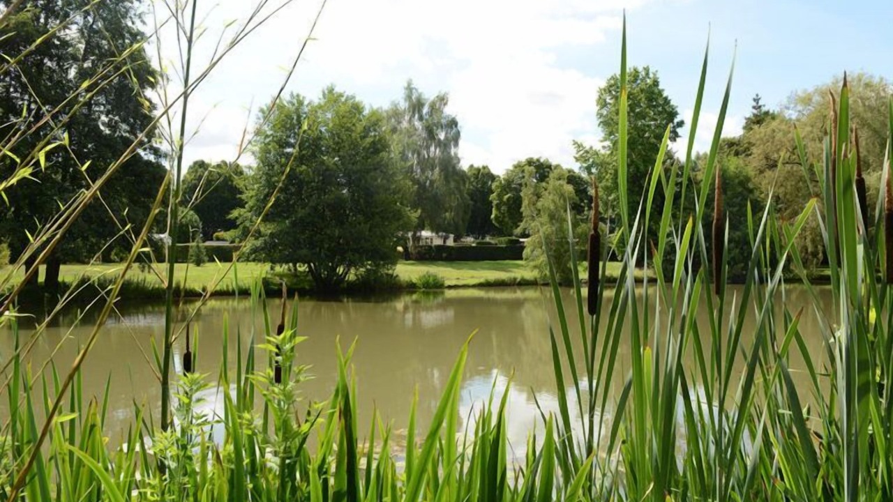 Photo of Outdoor in Verdelot