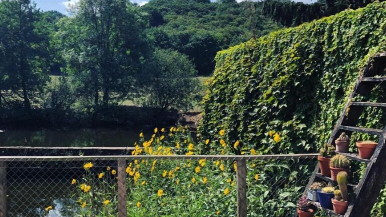 Photo of Outdoor in Mortagne-sur-Sevre