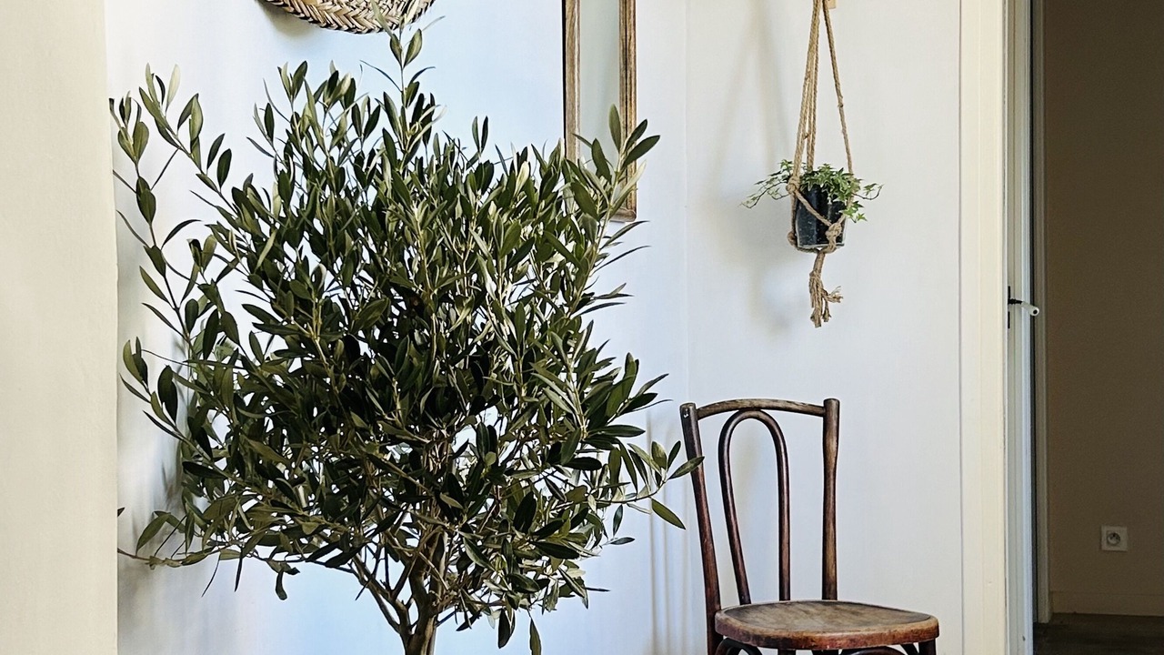 Photo of Others in Bastia