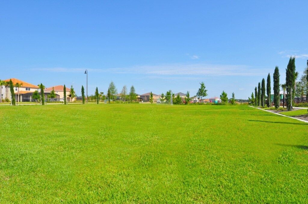 Photo of Others in Loughman