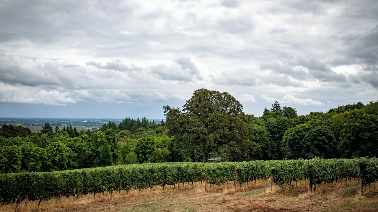 Photo of Others in Dayton