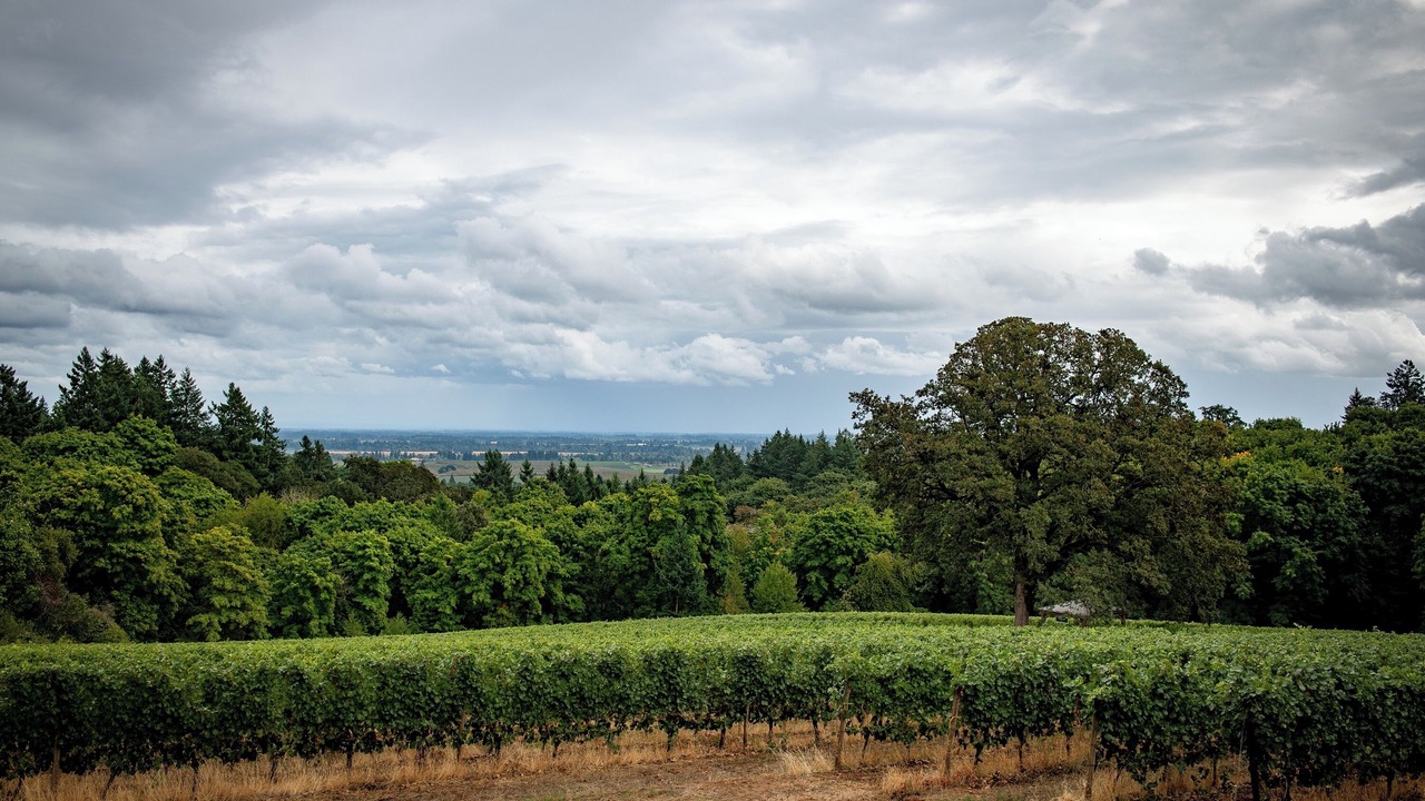 Photo of Others in Dayton