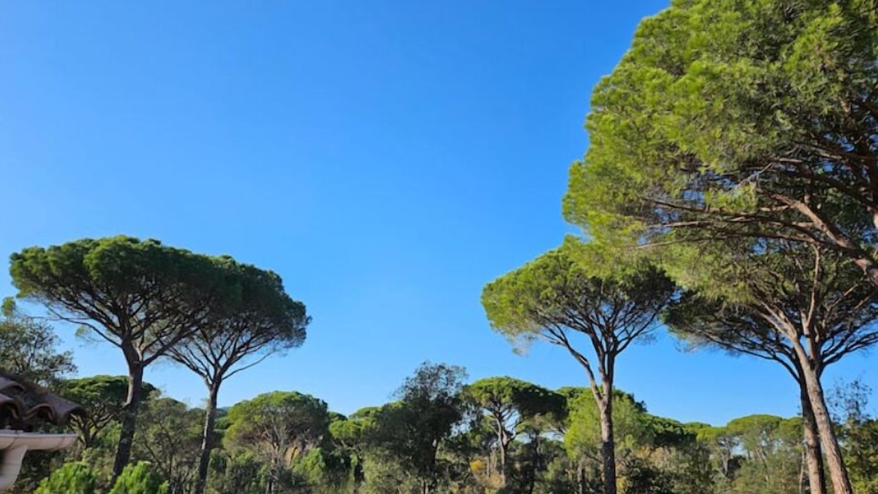 Photo of Outdoor in Vidauban