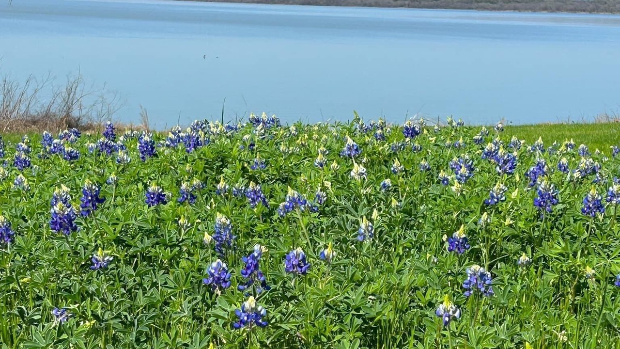 Photo of Outdoor in Irene