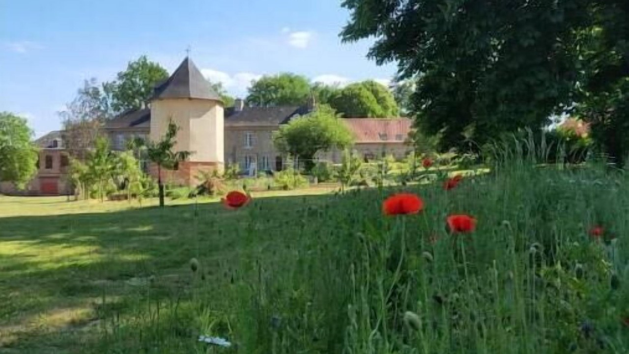 Photo of Outdoor in Le Meillard