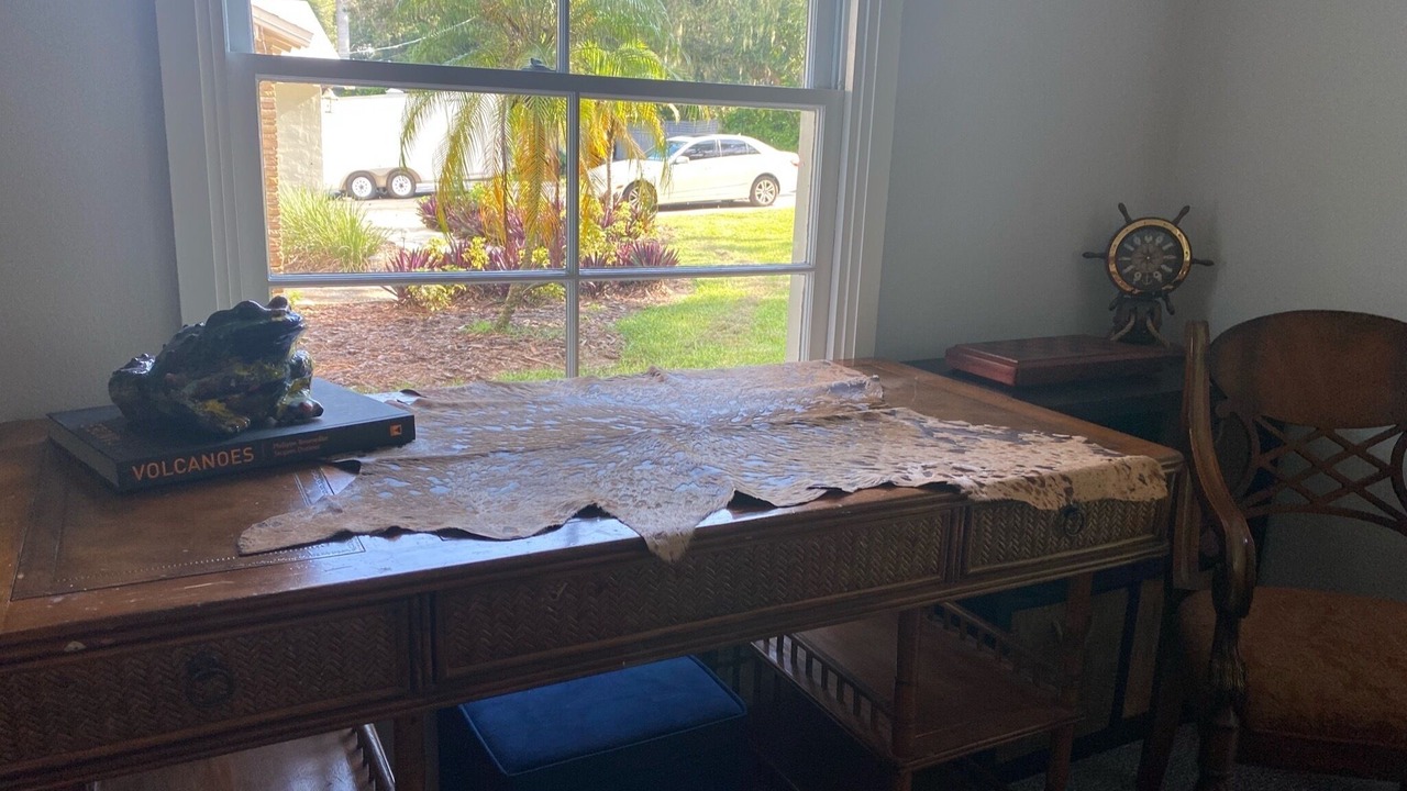 Photo of Others in South Sarasota