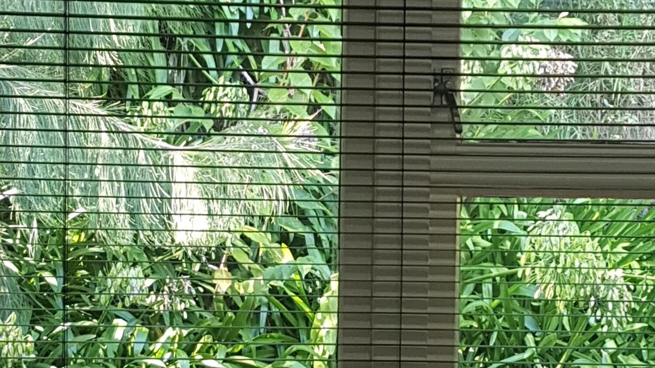 Photo of Others in Tauriko