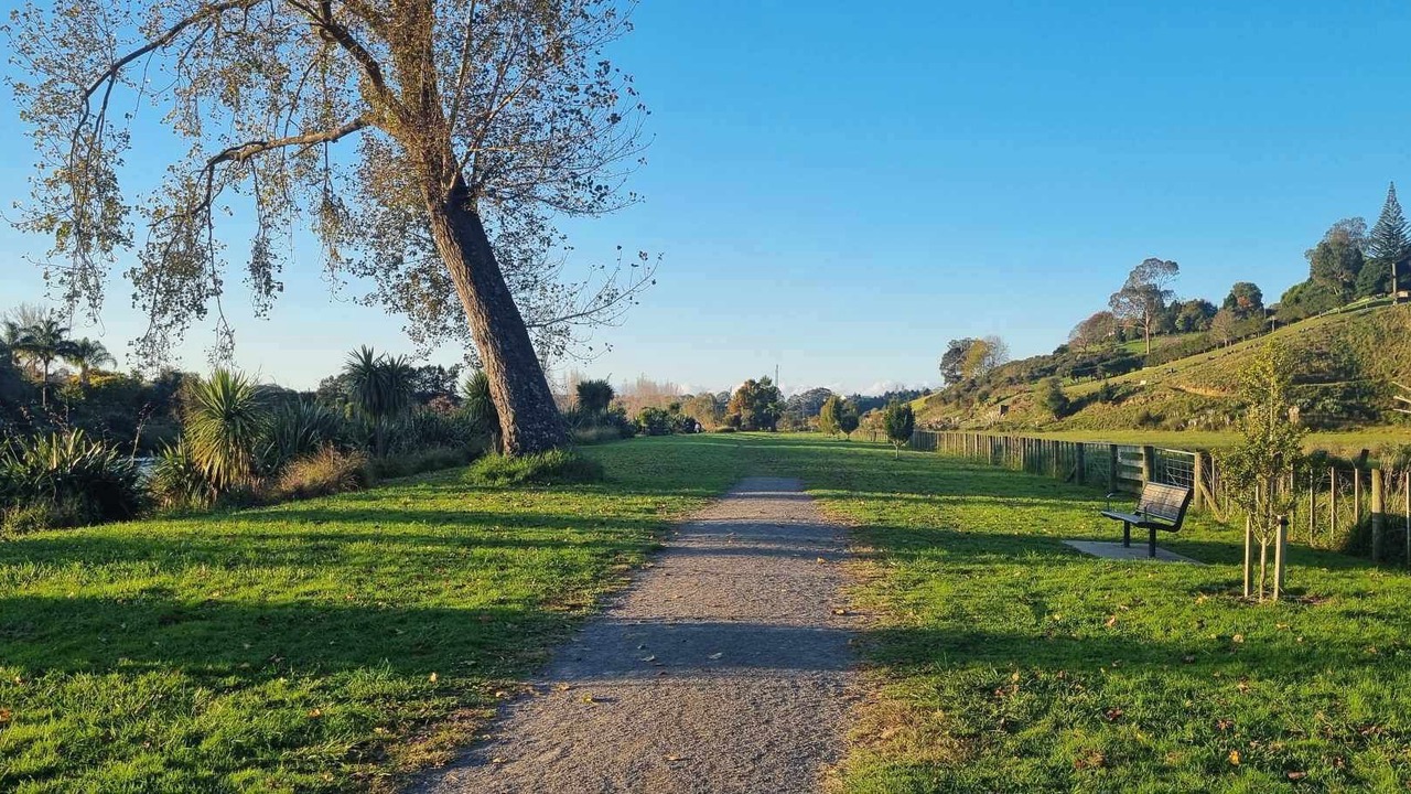 Photo of Others in Tauriko