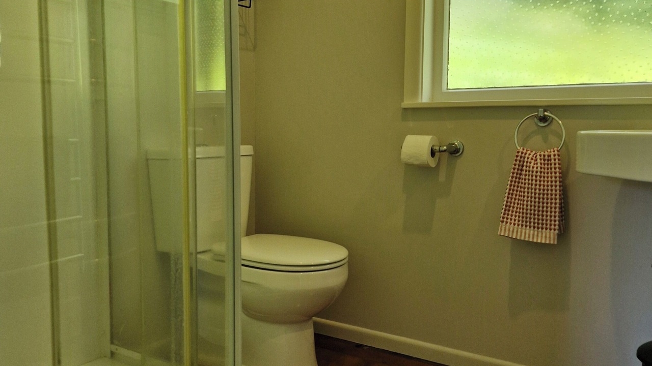 Photo of Bathroom in Tauriko