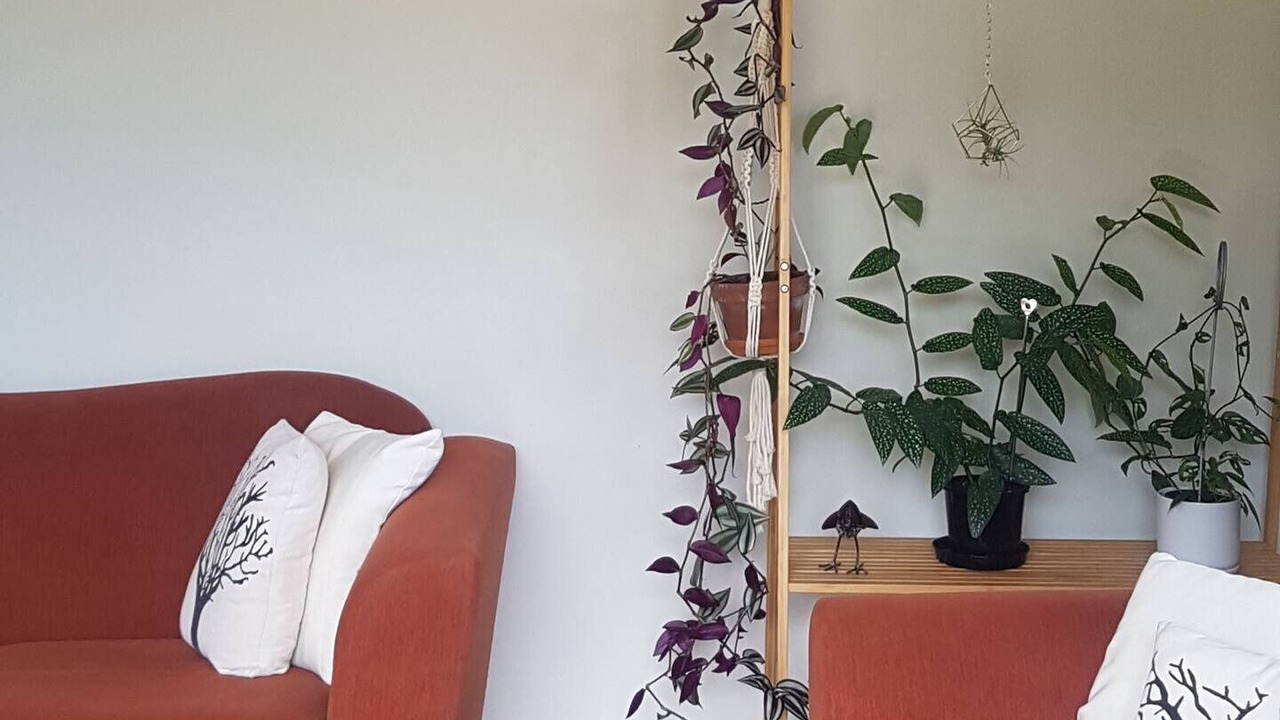 Photo of Livingroom in Tauriko