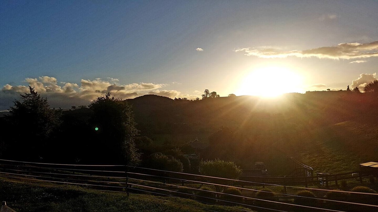 Photo of Outdoor in Tauriko