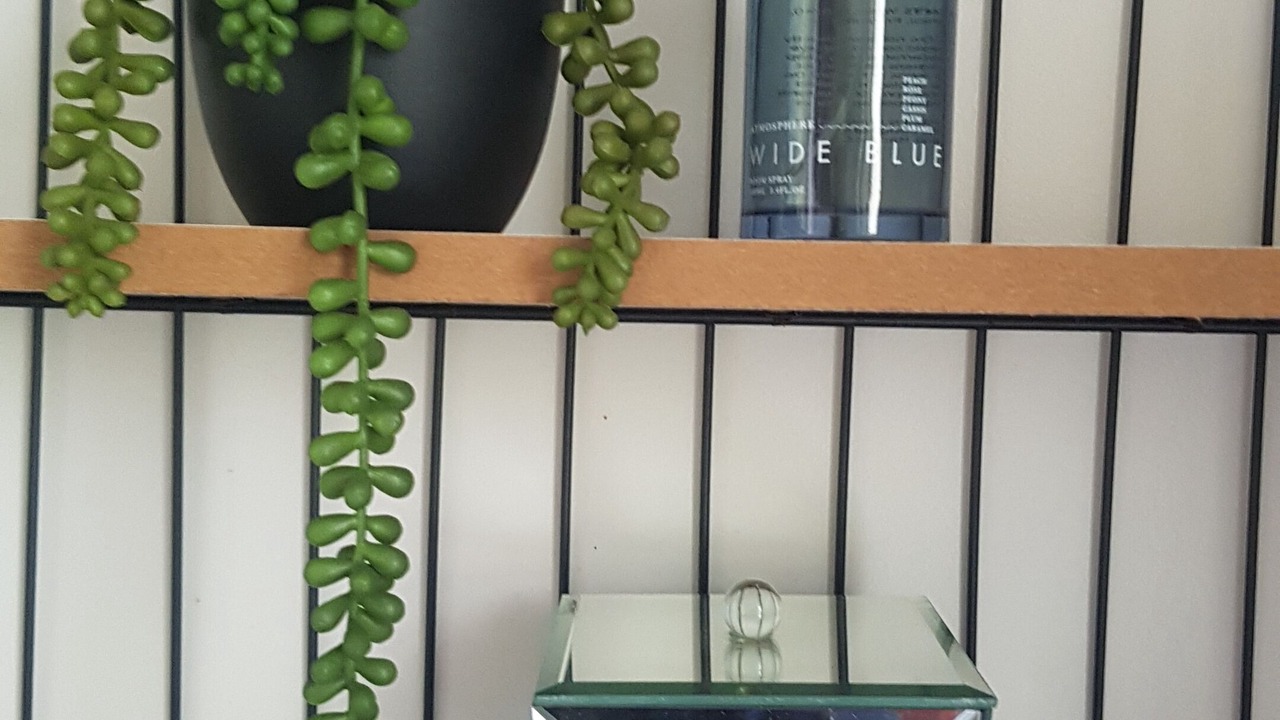 Photo of Others in Tauriko