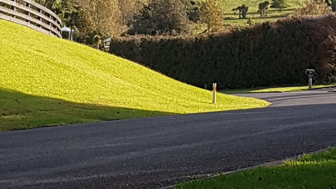 Photo of Outdoor in Tauriko