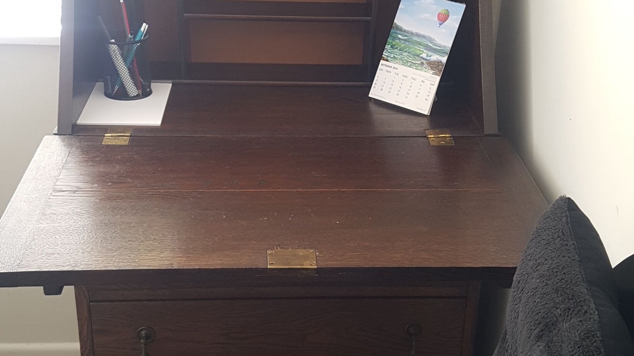 Photo of Others in Tauriko