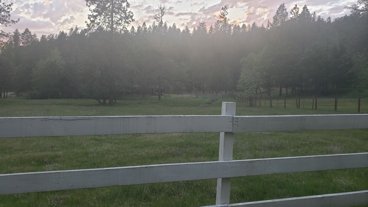 Photo of Others in Grants Pass