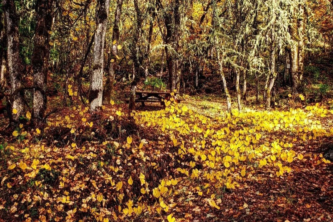 Photo of Outdoor in Grants Pass