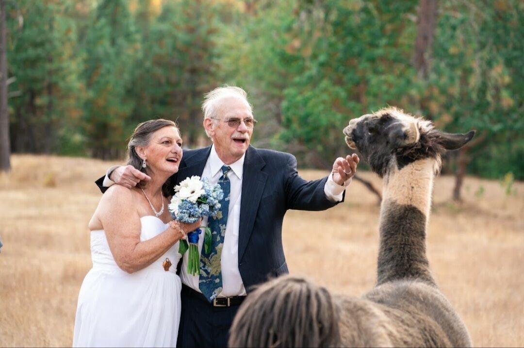 Photo of Others in Grants Pass