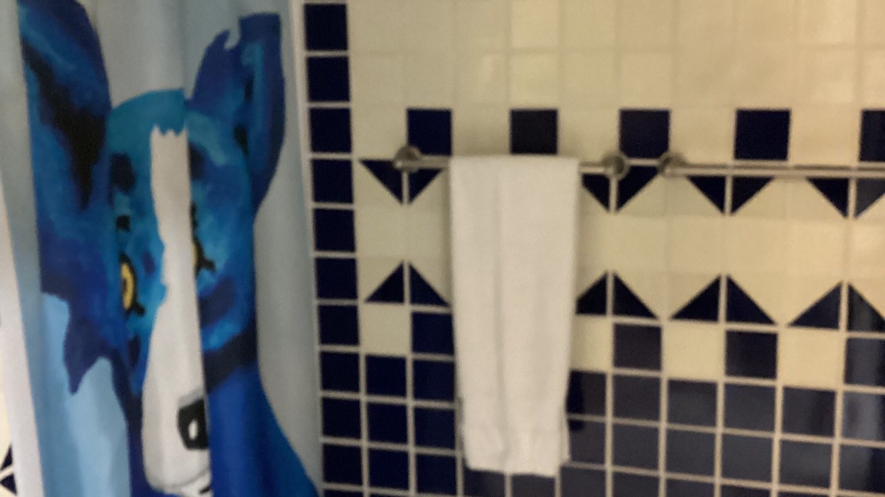 Photo of Bathroom in Junction