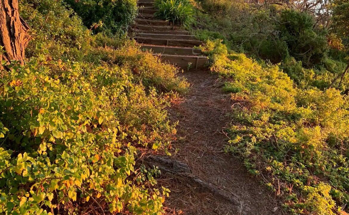 Photo of Others in Metung