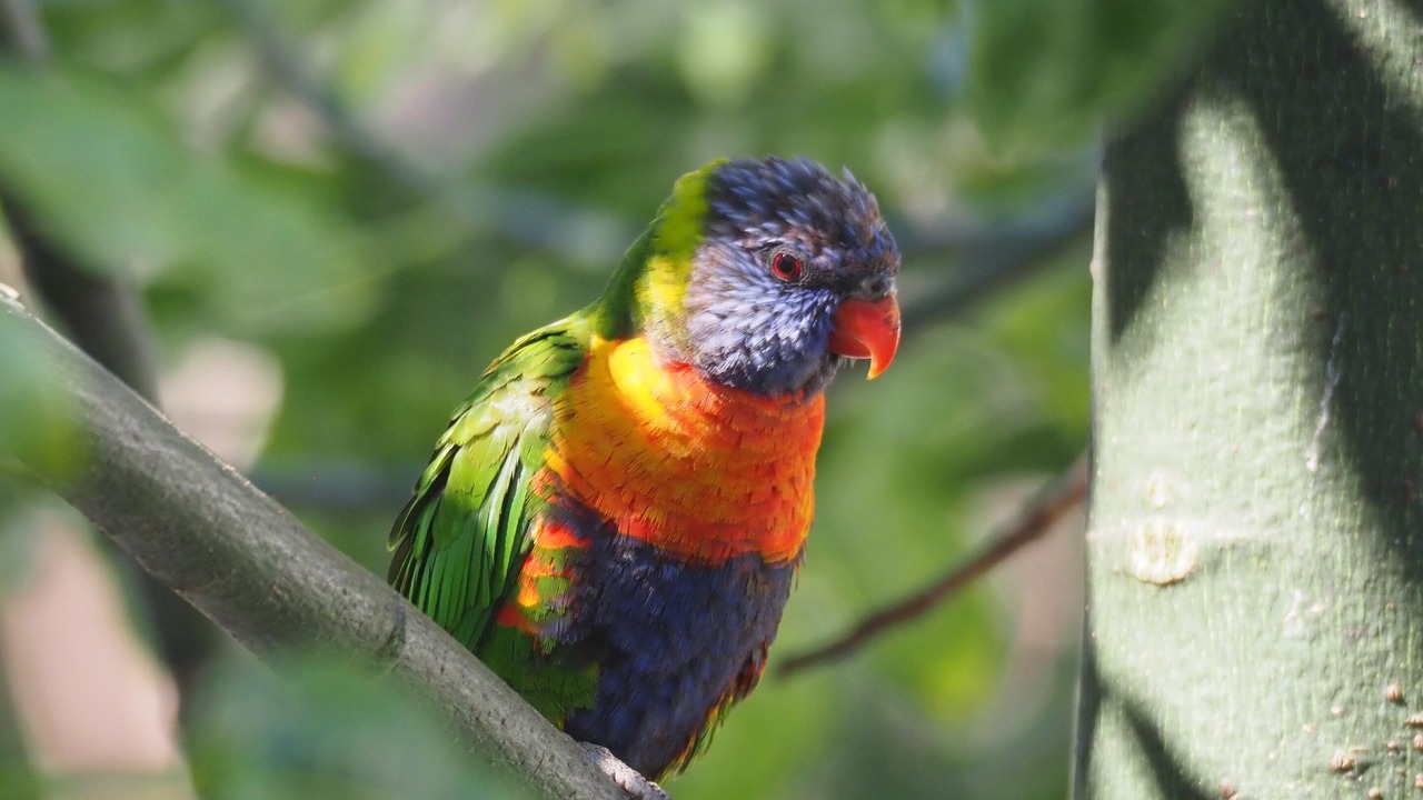 Photo of Others in Metung