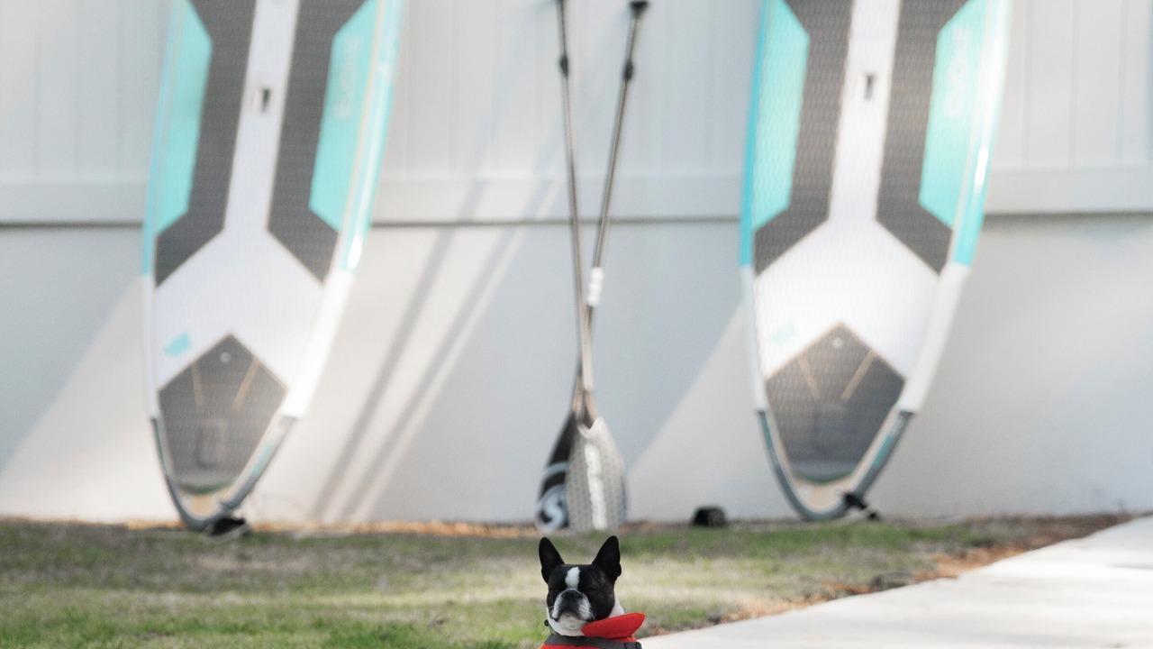 Photo of Others in Metung