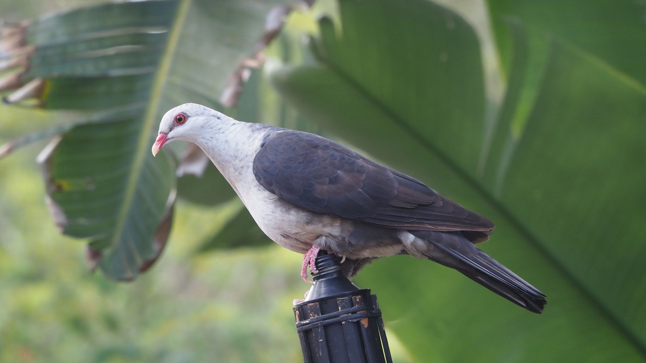 Photo of Others in Metung