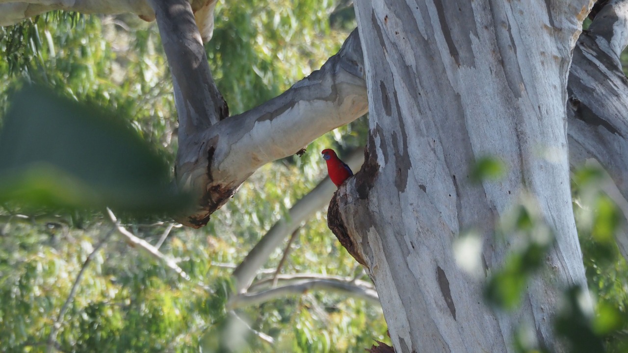 Photo of Others in Metung