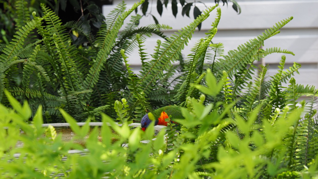 Photo of Outdoor in Metung