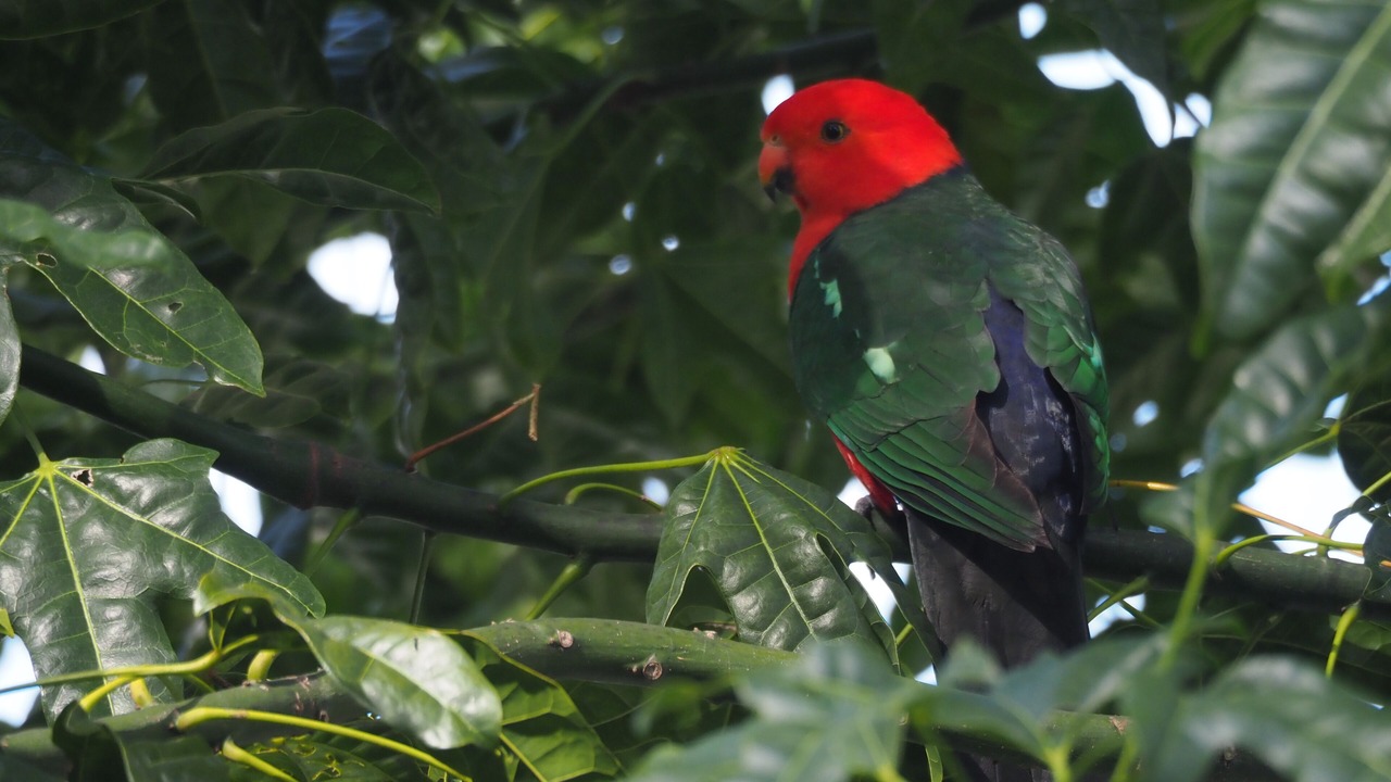 Photo of Others in Metung