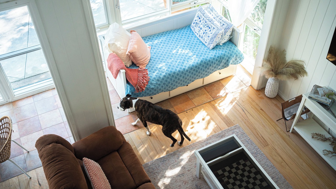 Photo of Others in Metung