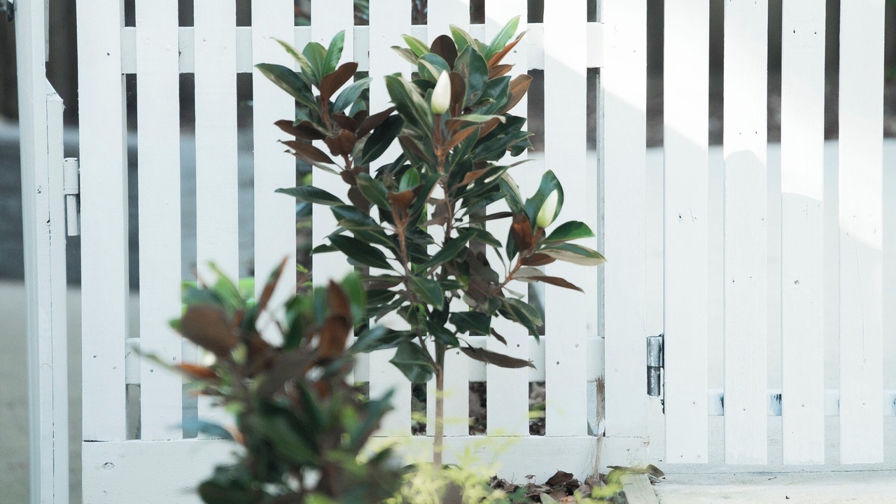 Photo of Outdoor in Metung