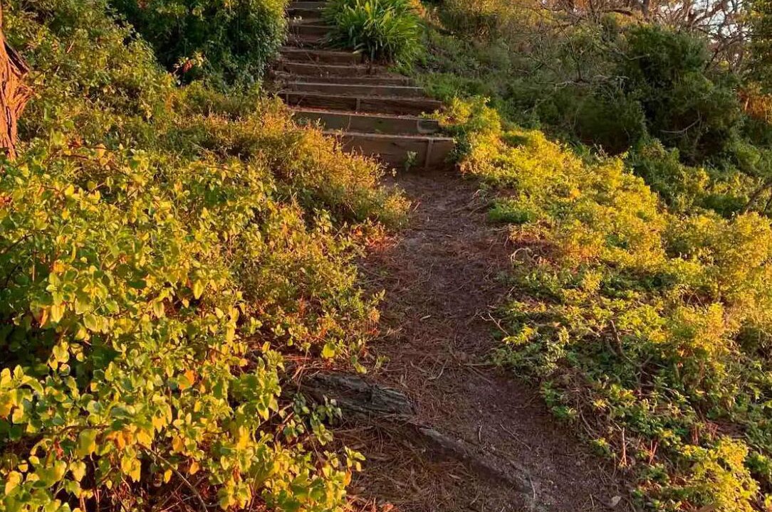 Photo of Others in Metung