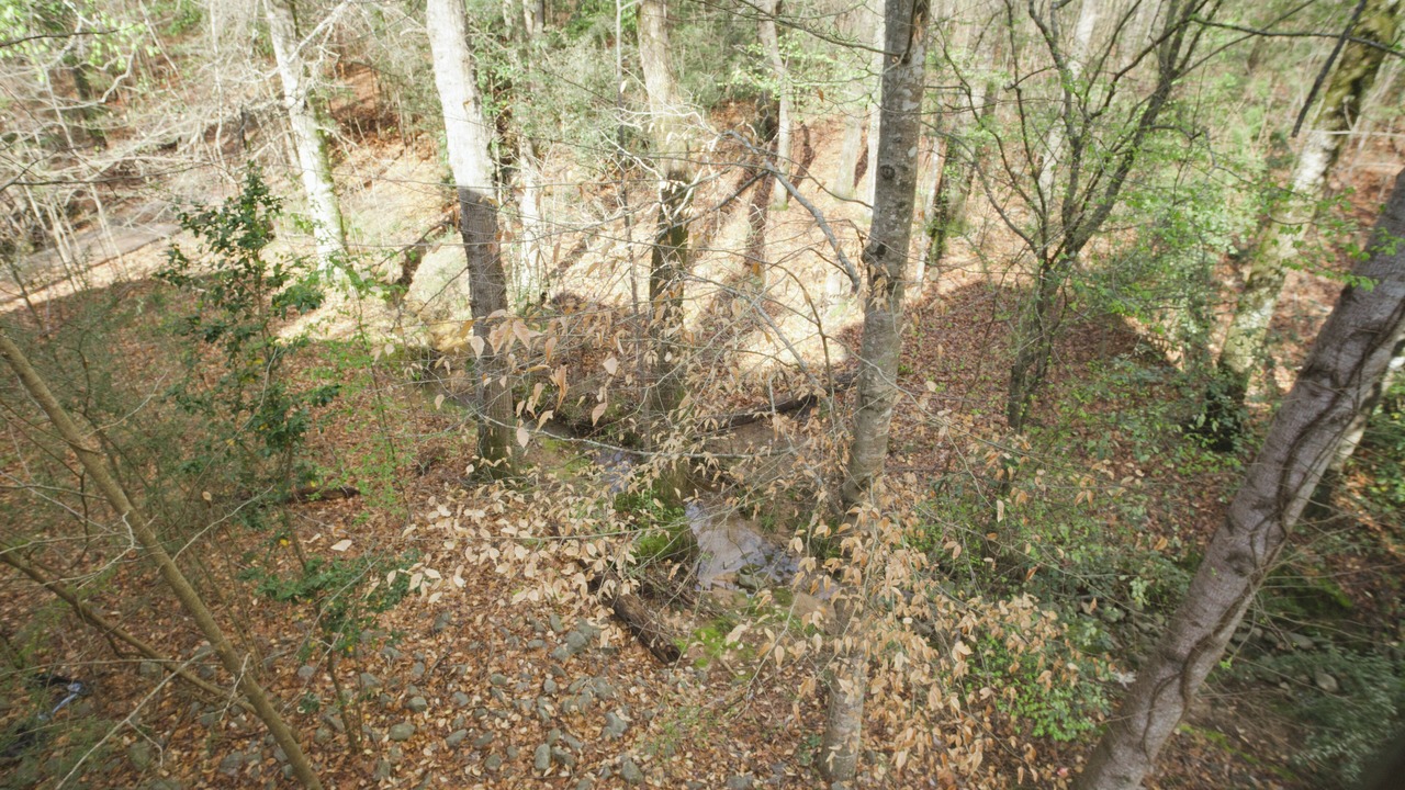 Photo of Outdoor in Dadeville