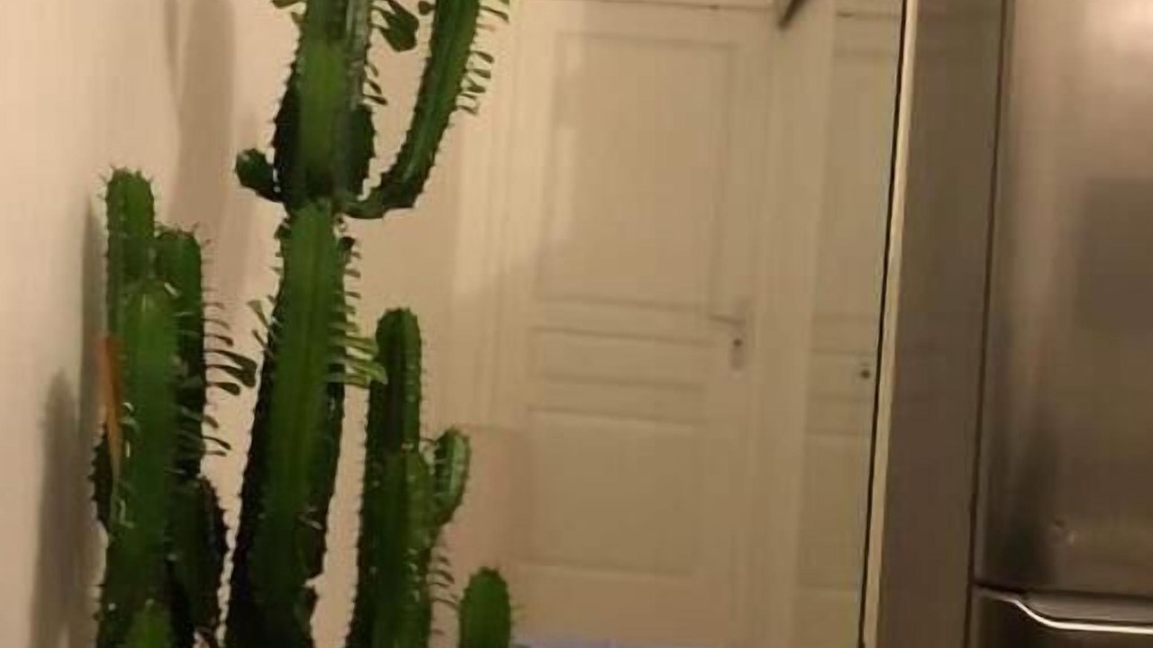 Photo of Others in Maladiere