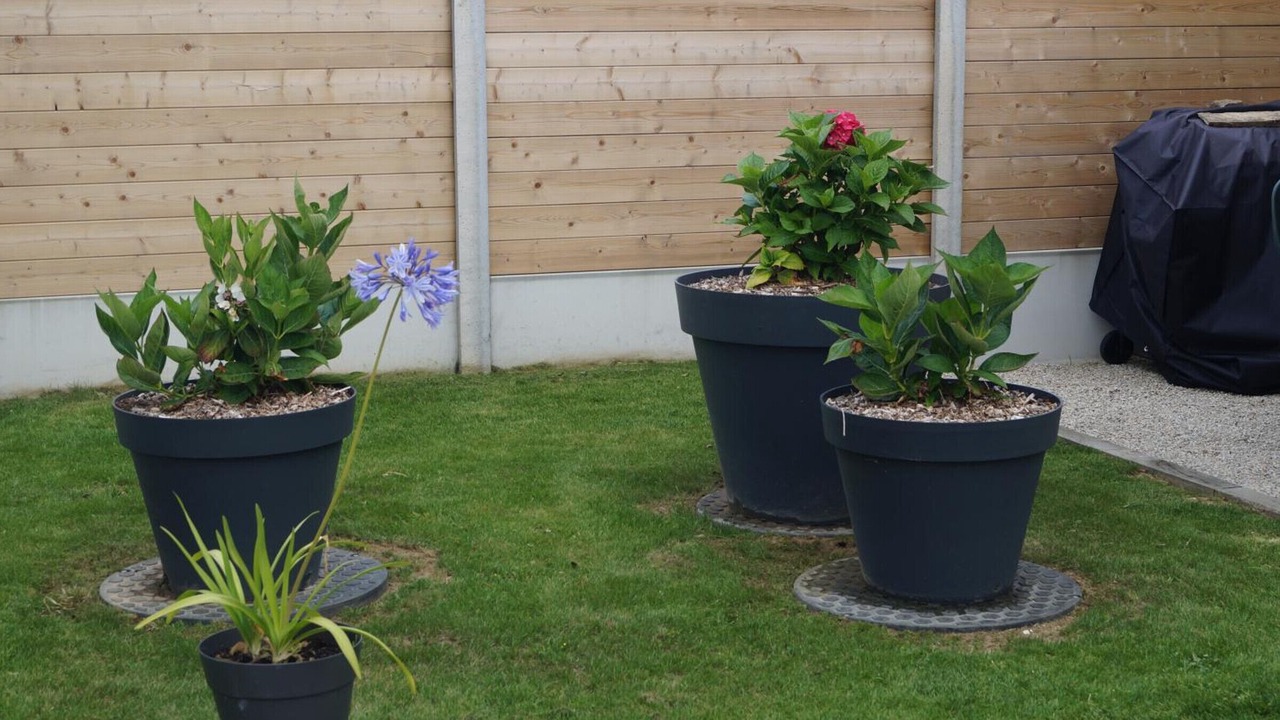 Photo of Outdoor in Portbail