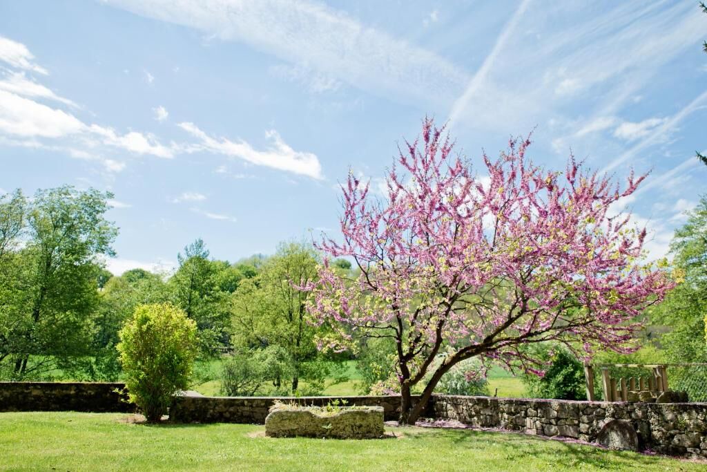 Photo of Outdoor in Mortagne-sur-Sevre