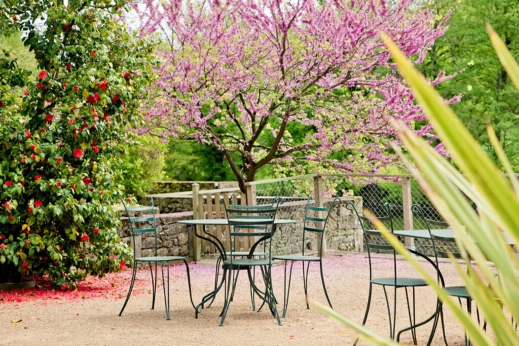 Photo of Outdoor in Mortagne-sur-Sevre