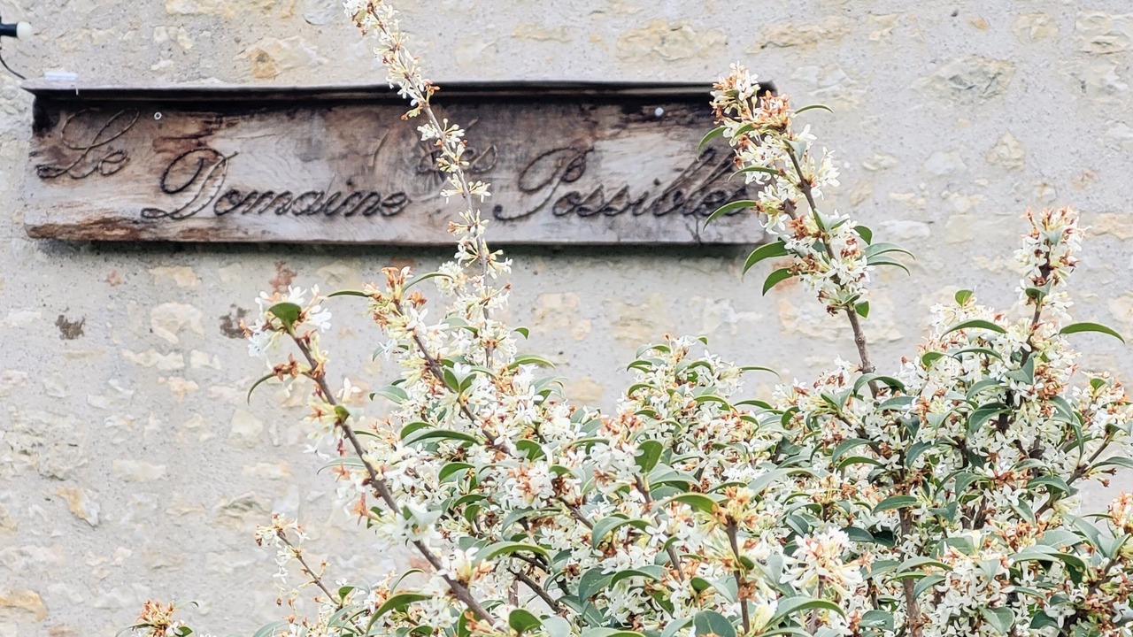 Photo of Outdoor in Montayral