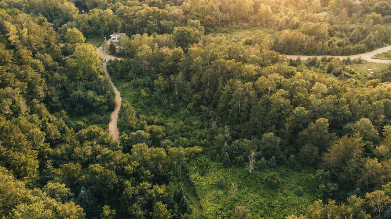 Photo of Outdoor in Mandeville
